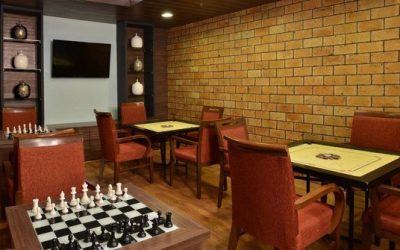 chess-and-carom-room